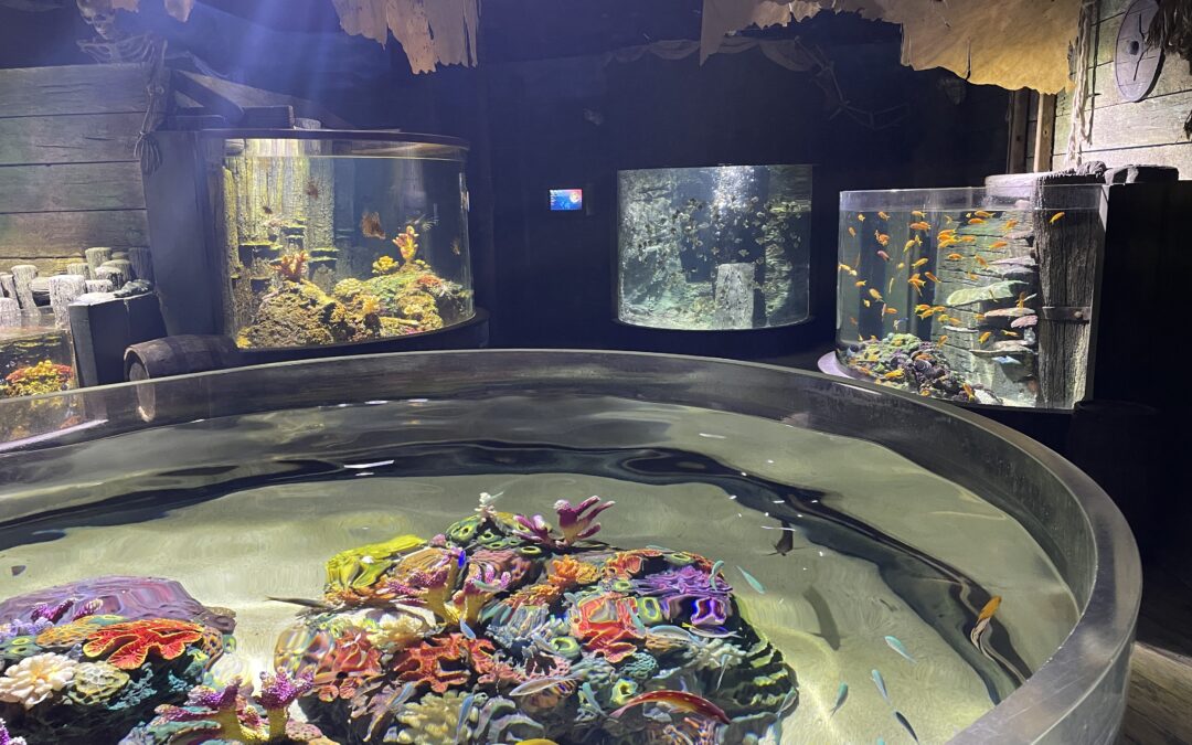SEA LIFE CHESSINGTON Tropical Displays